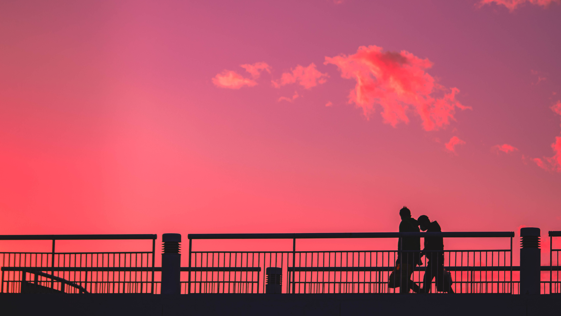 ピンク　夕日　カップル
