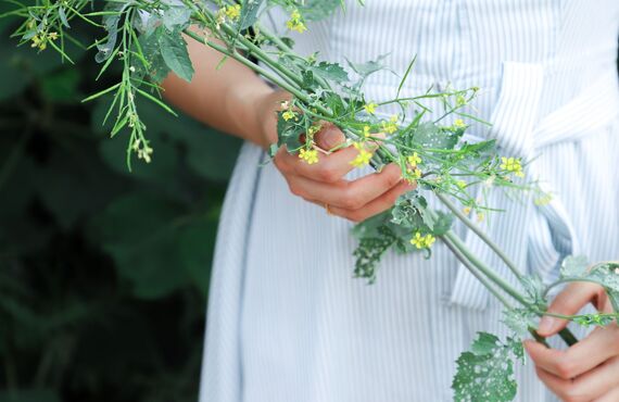【肉食男子の落とし方】鹿児島結婚相談所｜結婚相談所Doux Mariage