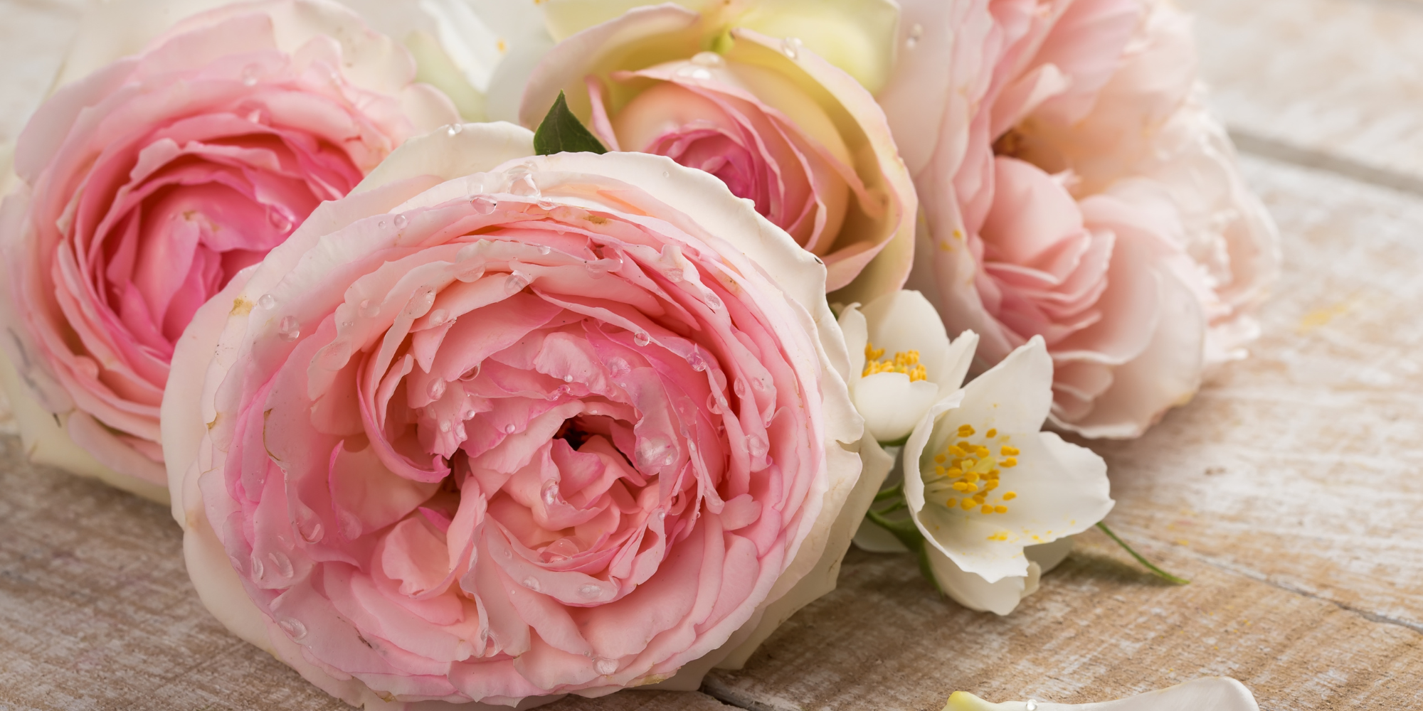 AdobeStock_215667391